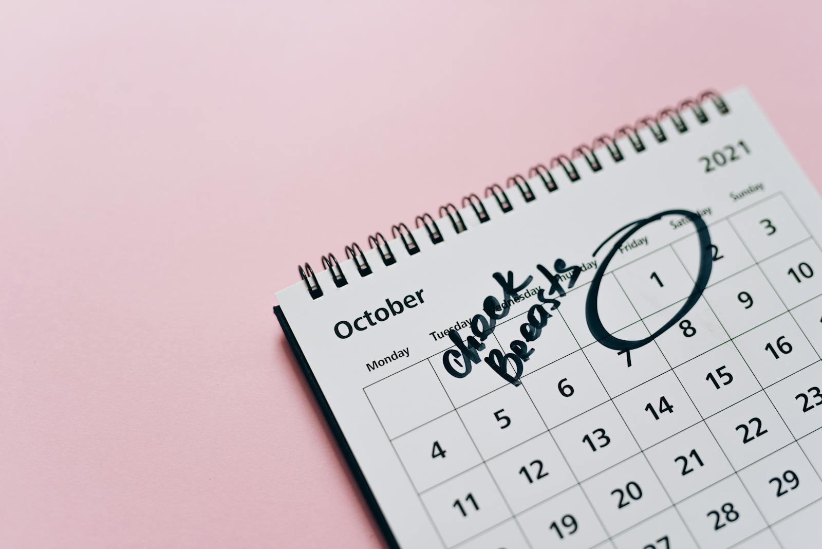 Playlists and scheduling that survive real venues